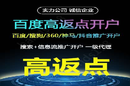 百度竞价排名案例解析：如何快速提升网站流量